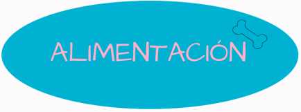 alimentacion