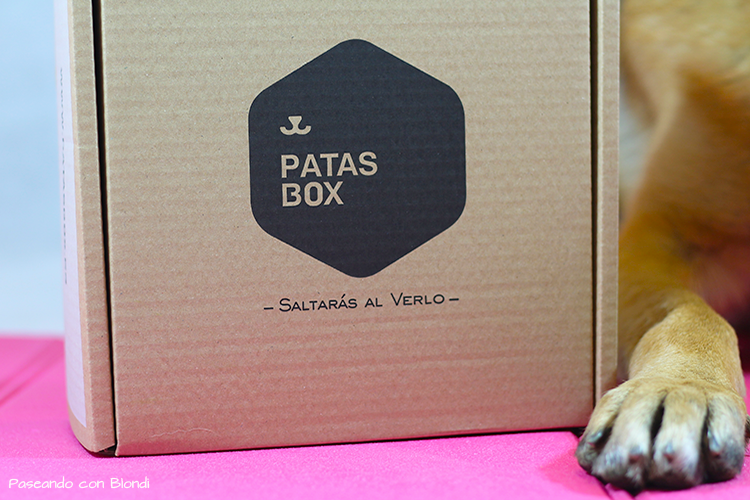 ¡Nos ponemos en forma con Patasbox!