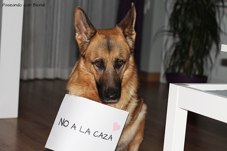 No a la caza