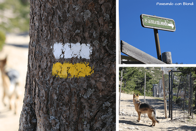 Ruta la bola del Mundo en Madrid
