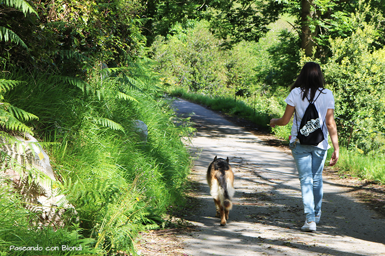 ruta-senderismo-con-perro.png