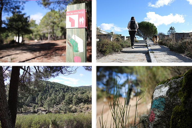 Ruta-trincheras-madrid-con-perro