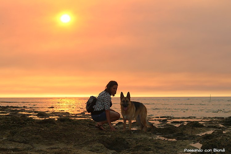 ¿Cómo te cambia la vida tener un perro?