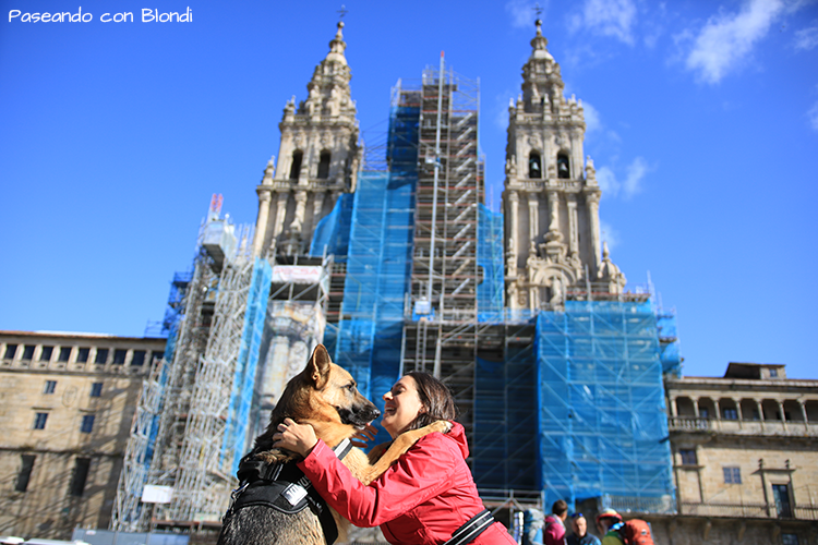 perro-popular-redes-sociales