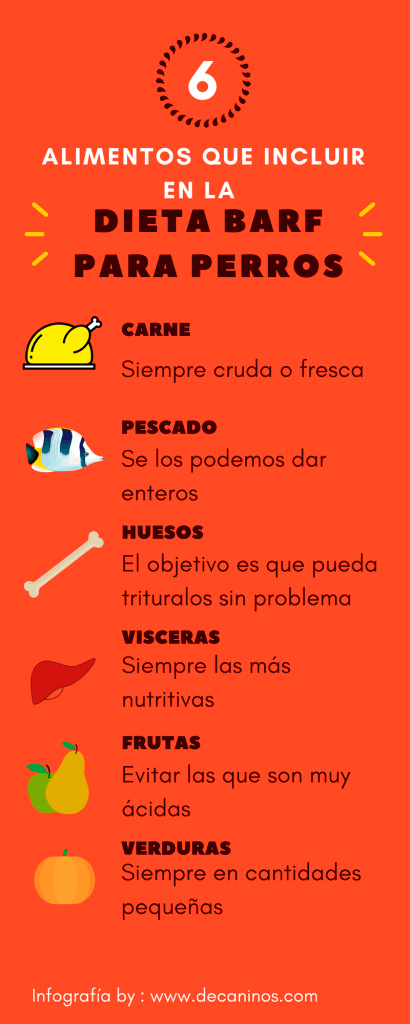 BARF-PARA-PERROS