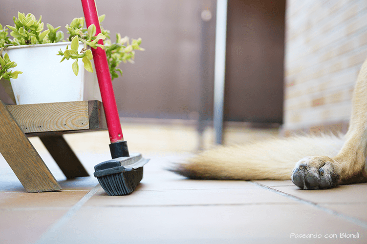 cepillo-goma-perro-pelo