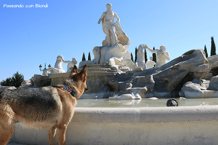 fontana-di-trevi-perro