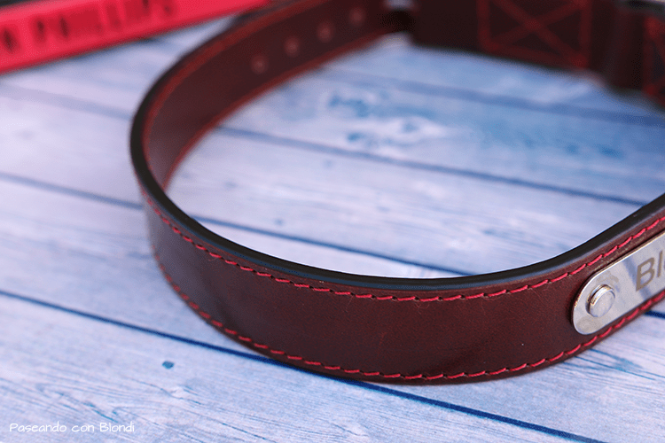 hanniko y paseando con blondi.png