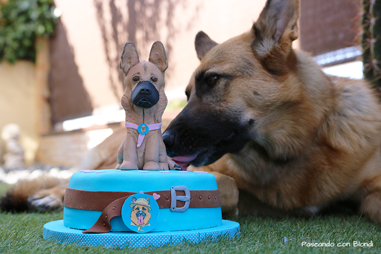 cumpleaños-perro
